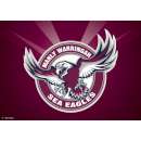 Sea Eagles NRL Edible Icing Image - A4